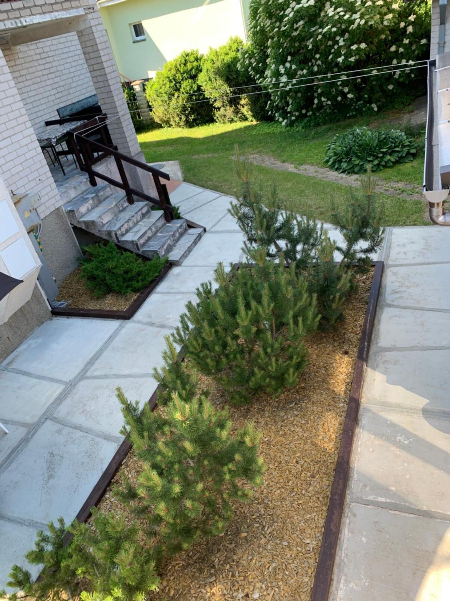 Guesthouse Sveciuose Pas Grazina パランガ エクステリア 写真